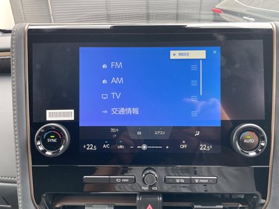 2025 Toyota ALPHARD 缩略图 53