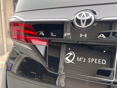 2025 Toyota ALPHARD 缩略图 28