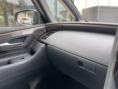 2025 Toyota ALPHARD 缩略图 49