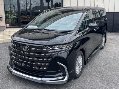 2025 Toyota ALPHARD 缩略图 61