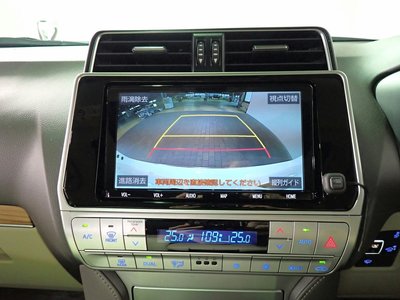 TOYOTA LAND CRUISER PRADO - 3