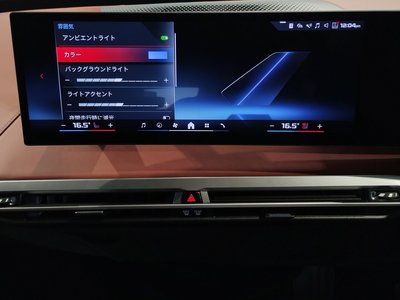 2025 BMW IX 缩略图 36