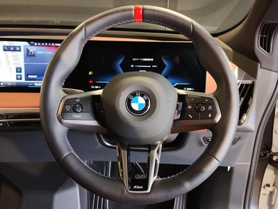 2025 BMW IX 缩略图 31
