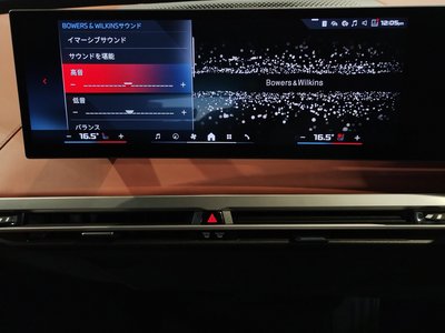 2025 BMW IX 缩略图 38