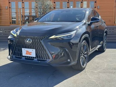 LEXUS NX - 10