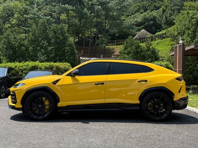 صورة 5 لـ 2019 Lamborghini URUS