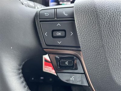 2025 Toyota ALPHARD 照片 9