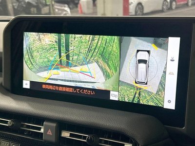 TOYOTA LAND CRUISER 250 - 6