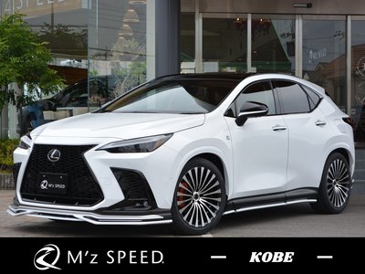 LEXUS NX - 1