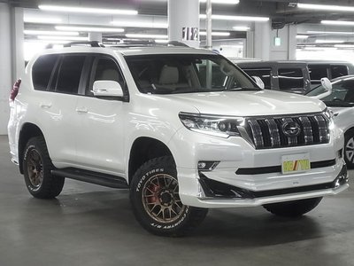 TOYOTA LAND CRUISER PRADO - 8