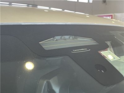 2023 BMW X6 thumbnail 52