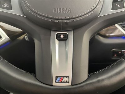 2023 BMW X6 thumbnail 19