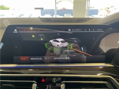 2023 BMW X6 thumbnail 66