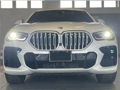 2023 BMW X6 thumbnail 70
