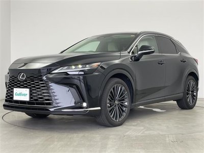 2024 Lexus RX — миниатюра 34