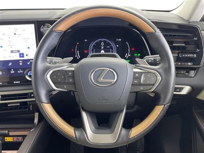 2024 Lexus RX — миниатюра 13