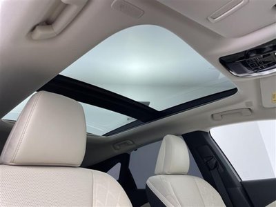 2024 Lexus RX 照片 5