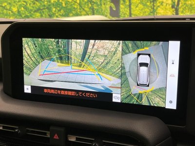 TOYOTA LAND CRUISER 250 - 6
