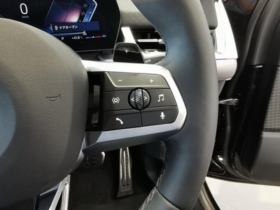 2025 BMW X2 缩略图 29