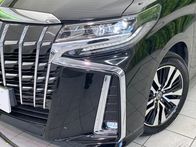 2022 Toyota ALPHARD 缩略图 13