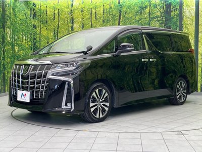 2022 Toyota ALPHARD 缩略图 17