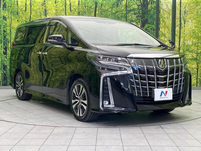 2022 Toyota ALPHARD 缩略图 31