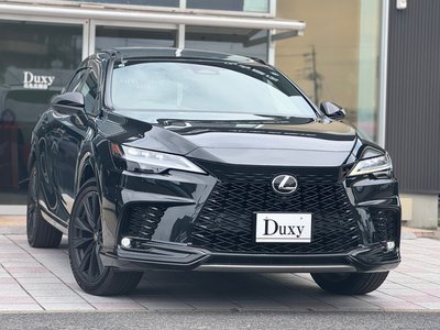 LEXUS RX - 6