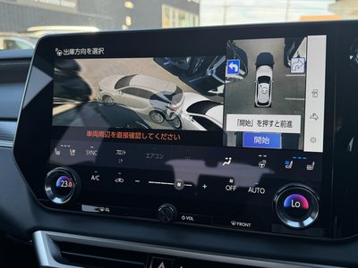 LEXUS RX - 10