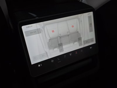 2025 Tesla MODEL Y 缩略图 28