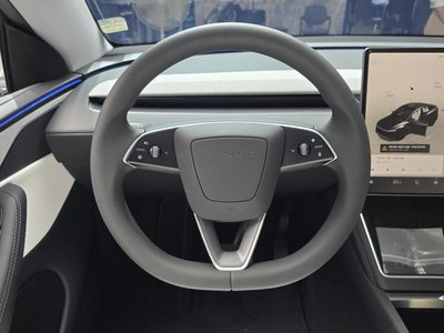 2025 Tesla MODEL Y 缩略图 19