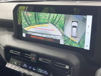 TOYOTA LAND CRUISER 250 - 4