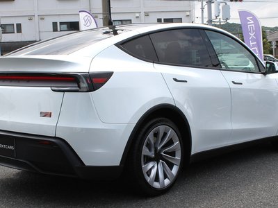 2025 Tesla MODEL Y — миниатюра 15