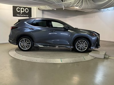 LEXUS NX - 10