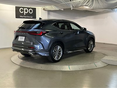 LEXUS NX - 9