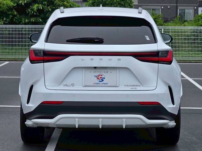 2023 Lexus NX 缩略图 78