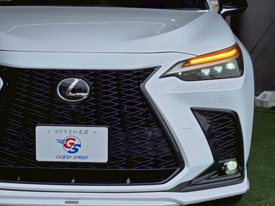 2023 Lexus NX 缩略图 25