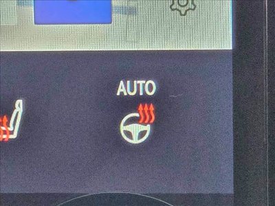 2023 Lexus NX 缩略图 11