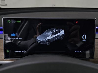 2022 Tesla MODEL Y 缩略图 29