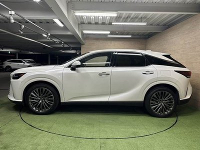 صورة مصغرة 17 لـ 2023 Lexus RX