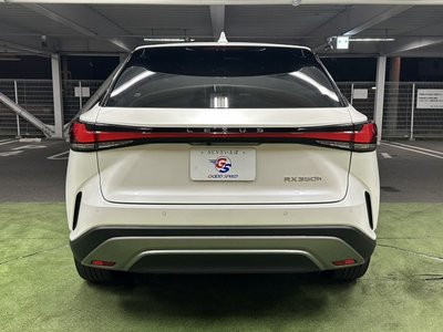 صورة مصغرة 54 لـ 2023 Lexus RX