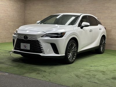 صورة مصغرة 55 لـ 2023 Lexus RX