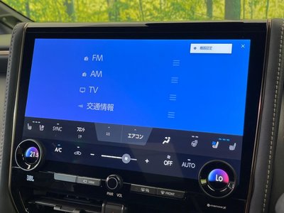 2025 Toyota ALPHARD — миниатюра 49