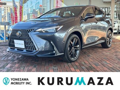 LEXUS NX - 1