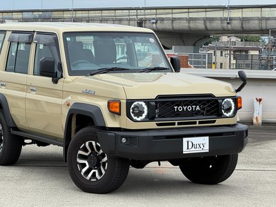 2025 Toyota LAND CRUISER 70 缩略图 17