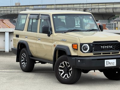 2025 Toyota LAND CRUISER 70 缩略图 18