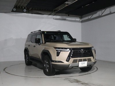 2025 Lexus GX photo 10