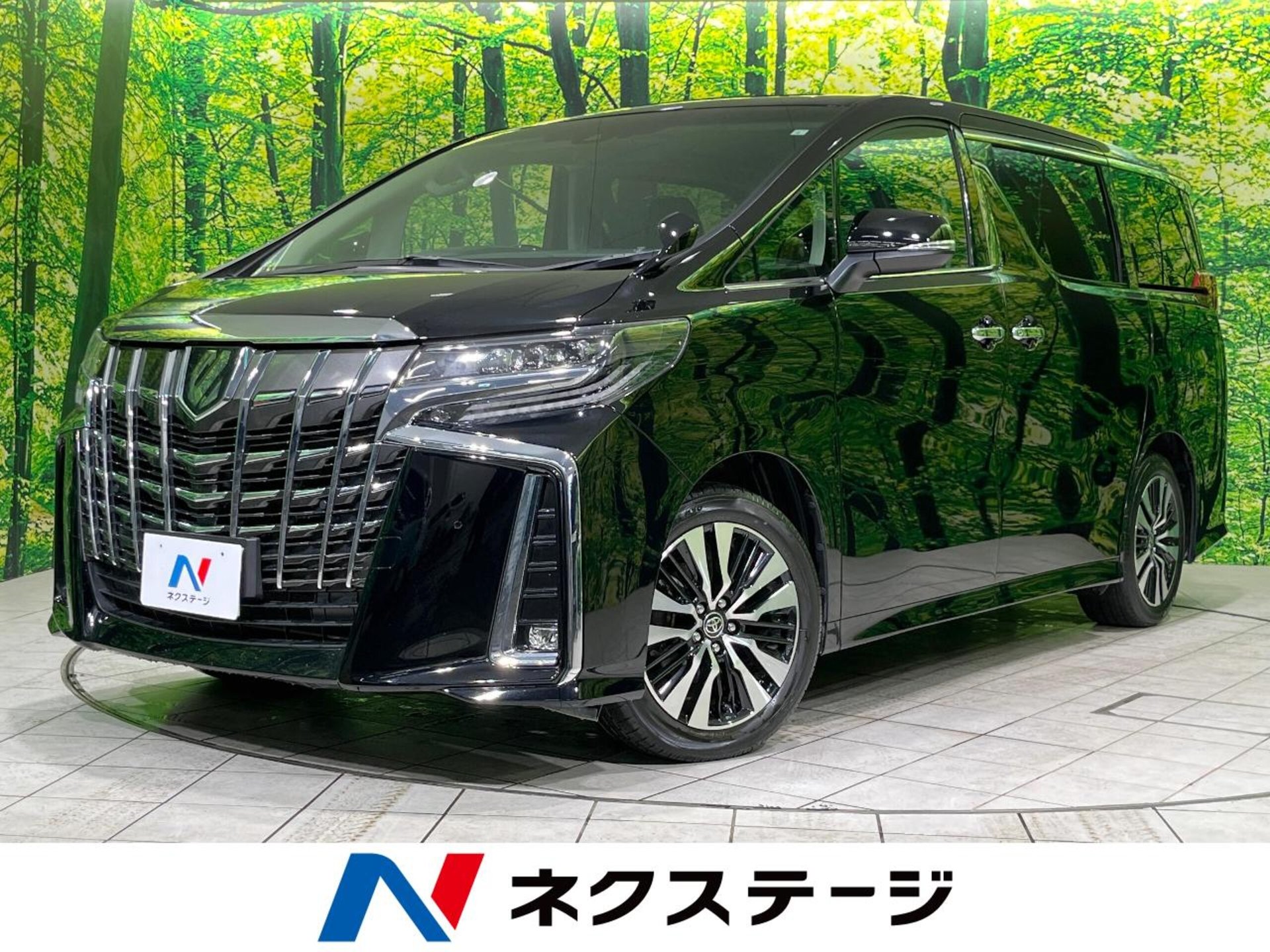 TOYOTA ALPHARD - View 1
