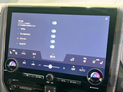 2025 TOYOTA ALPHARD 缩略图 60