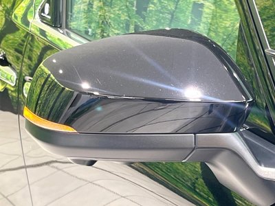 2025 TOYOTA ALPHARD 缩略图 25