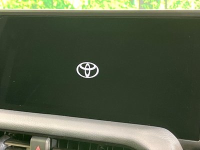 TOYOTA LAND CRUISER 250 - 4